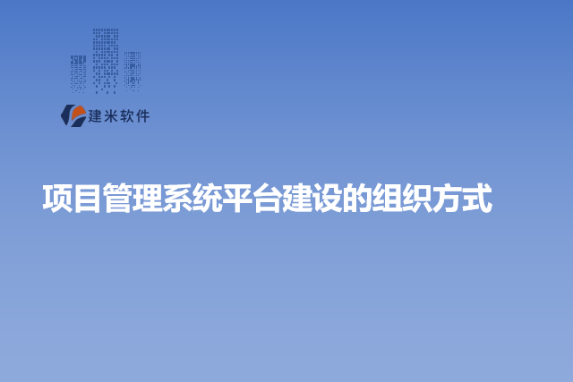 项目管理系统平台建设的组织方式