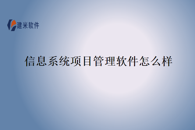 信息系统项目管理软件怎么样