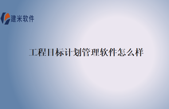 工程目标计划管理软件怎么样