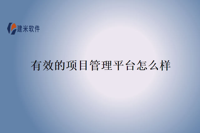 有效的项目管理平台怎么样