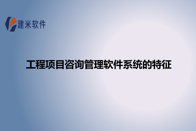 工程项目咨询管理软件系统的特征