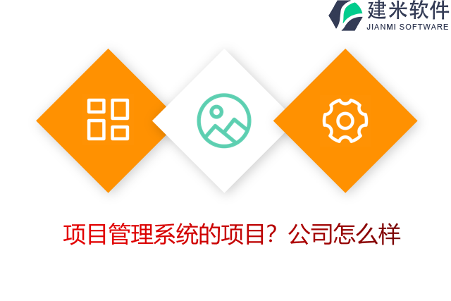 项目管理系统的项目？公司怎么样