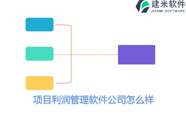 项目利润管理软件公司怎么样