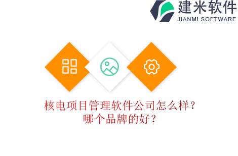 核电项目管理软件公司怎么样？哪个品牌的好？