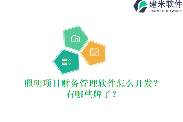 照明项目财务管理软件怎么开发？有哪些牌子？