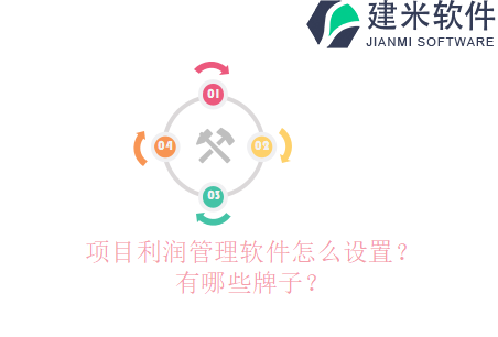 项目利润管理软件怎么设置？有哪些牌子？