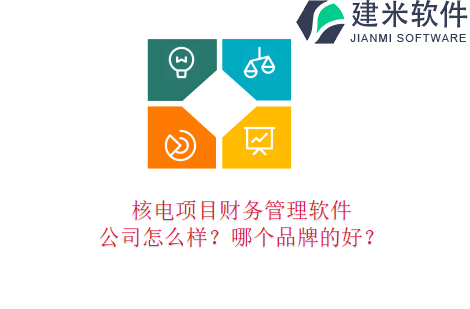 核电项目财务管理软件公司怎么样？哪个品牌的好？