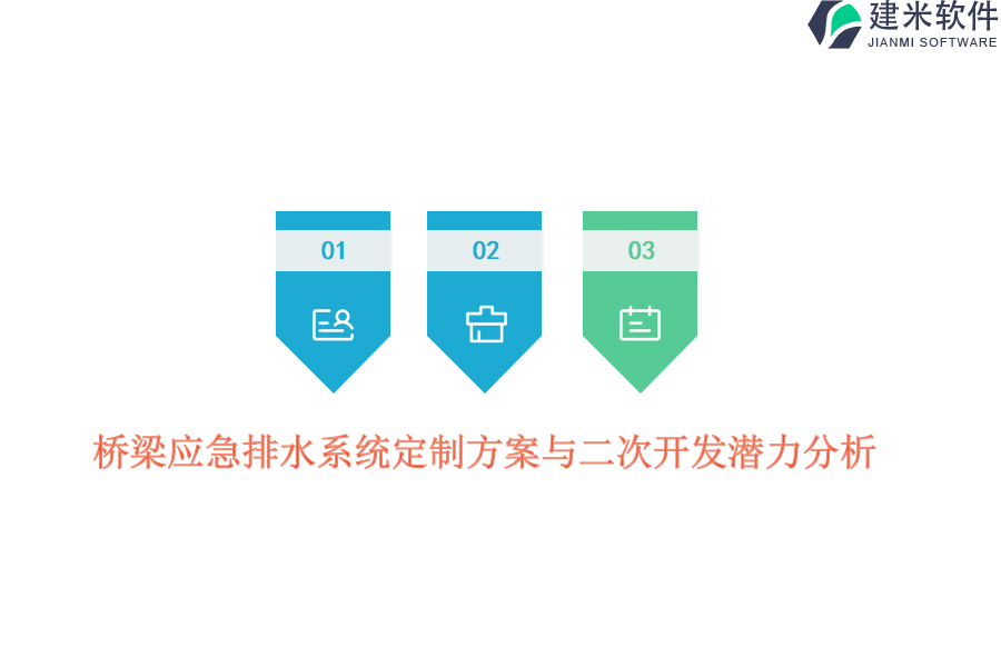 桥梁应急排水系统定制方案与二次开发潜力分析