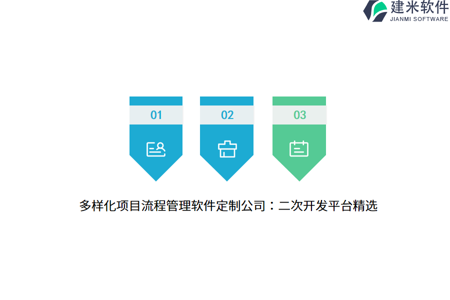 多样化项目流程管理软件定制公司：二次开发平台精选