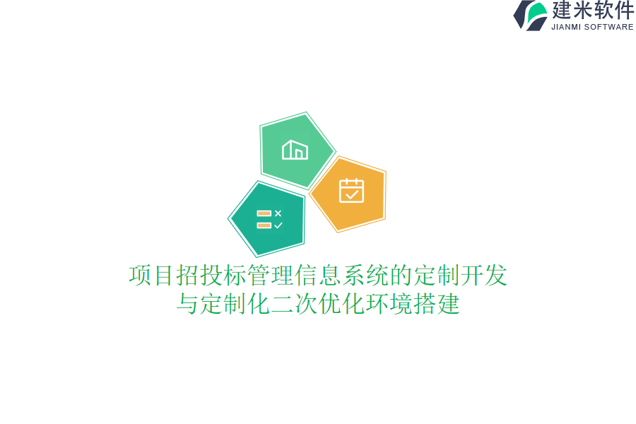 项目招投标管理信息系统的定制开发与定制化二次优化环境搭建