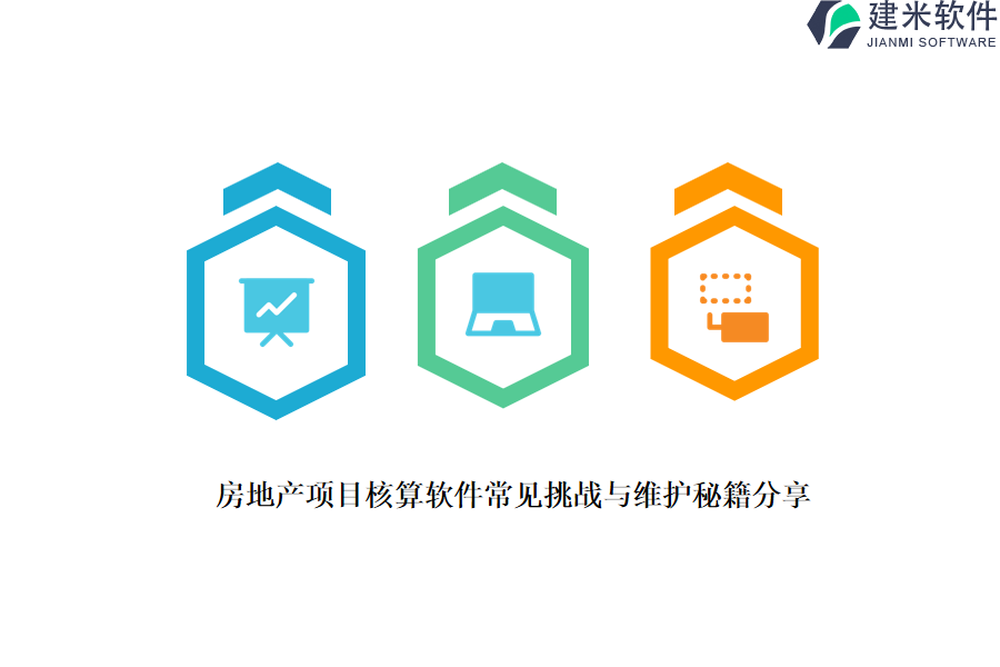 房地产项目核算软件常见挑战与维护秘籍分享